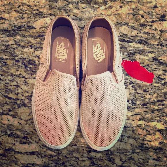 vans asher sepia rose